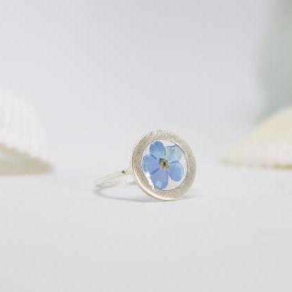 Real Forget Me Not Ring, Flower Pressed Jewelry..