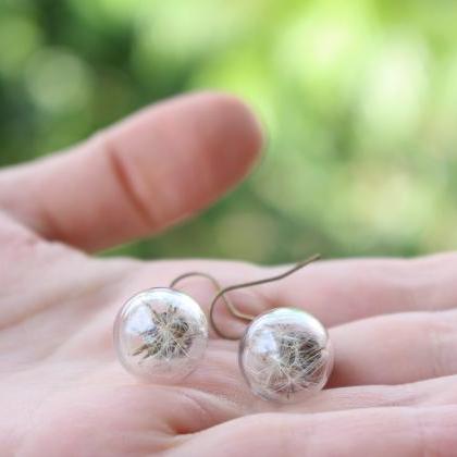 Dandelion Earrings Real Flower, Botanical..