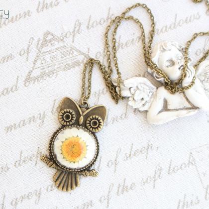 Owl Necklace Jewelry , Real Daisy Necklace , Owl..