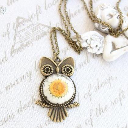Owl Necklace Jewelry , Real Daisy Necklace , Owl..
