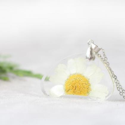 Real Daisy Necklace, Pressed Flower Necklace,..