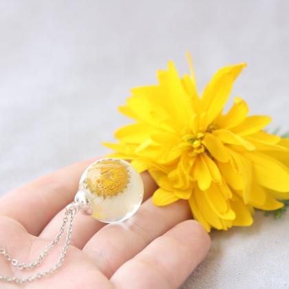 Real Daisy Necklace, Daisy Dried Necklace, Real..