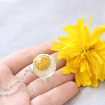 Real Daisy Necklace, Daisy Dried Necklace, Real..