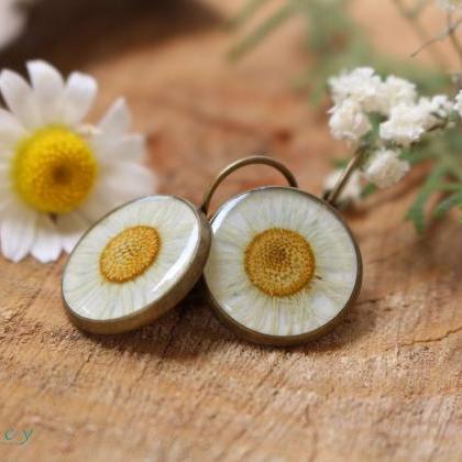 Daisy Earrings White , Real Dried Flowers ,..
