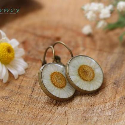 Daisy Earrings White , Real Dried Flowers ,..