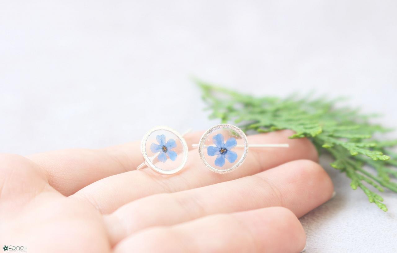 Something Blue For Bride Jewelry, Blue Wedding Earrings For Brides, Forget Me Not Earrings, Real Terrarium Earrings Gifts For Her