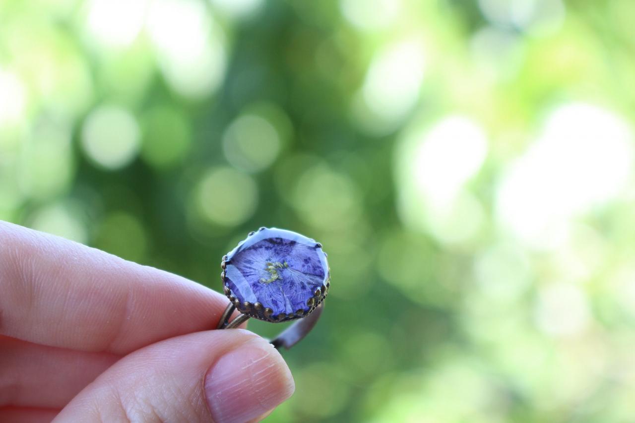 Violet Ring Antique Jewelry, Pressed Flower Ring Purple, Violet Resin Ring, Unique Rings For Women, Armenian Jewelry