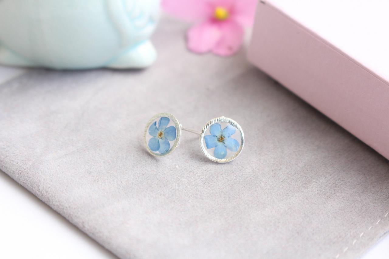 Forget Me Not Earrings Stud, Real Flower Stud Earrings, Minimalist Earrings Blue, Circle Earrings Studs Silver Plated , Gifts For Her