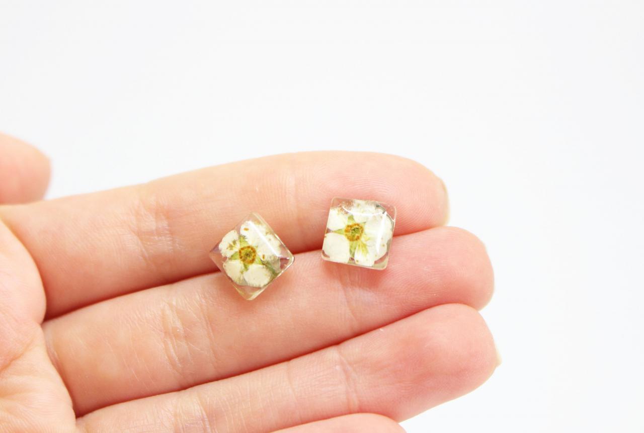 White flower stud earrings, minimalist real flower earring, pressed flower studs, resin stud earrings, minimal studs from dried flowers