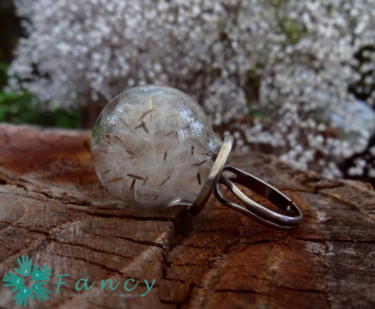 Real Dandelion Ring Dandelion Seed Jewelry Mini Terrarium Ring Botanical Jewelry Make A Wish Real Flower Ring Glass Globe Ring