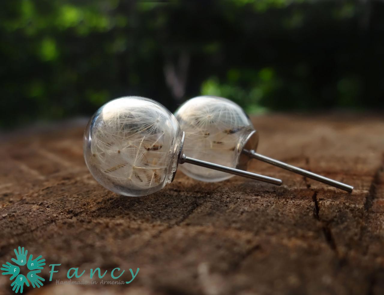 Dandelion clearance jewelry earrings