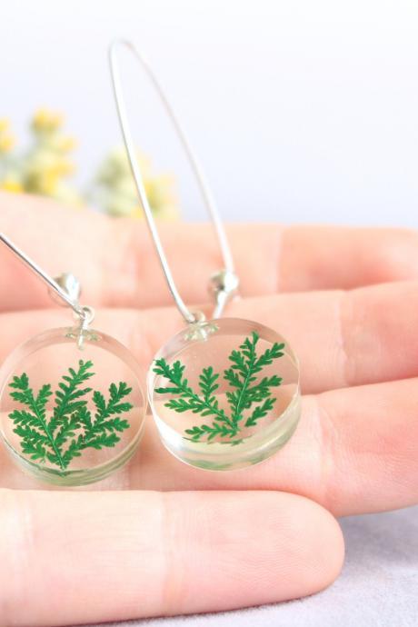 Real fern earrings, pressed flower earrings green, pressed leaf jewelry, summer earrings for her, pressed leaves earrings