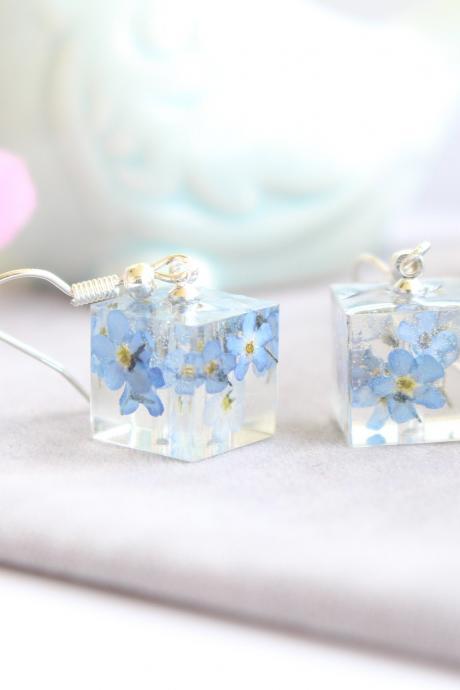 Forget me not earrings pressed flower, cube earrings, real flower earrings, something blue for her, wedding jewelry