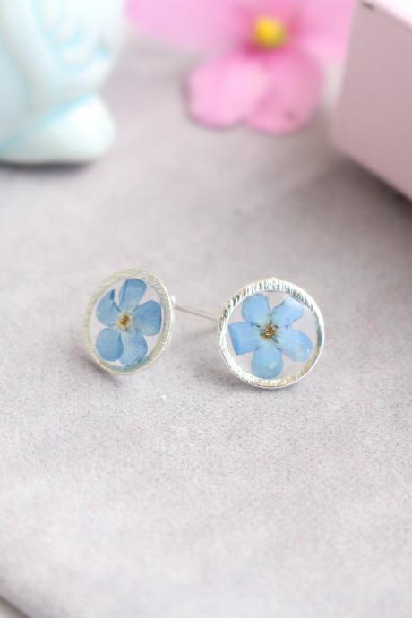 Forget me not earrings stud, real flower stud earrings, minimalist earrings blue, circle earrings studs silver plated , gifts for her