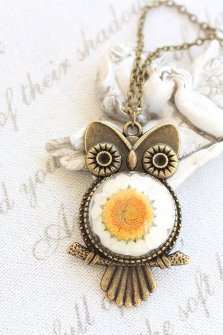 Owl necklace jewelry , real daisy necklace , owl flower necklace , teenage birthday girl gift , antique owl jewelry , real flower jewelry