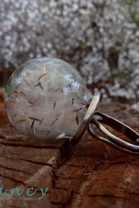 Real dandelion ring Dandelion seed jewelry mini terrarium ring botanical jewelry make a wish real flower ring Glass globe ring 